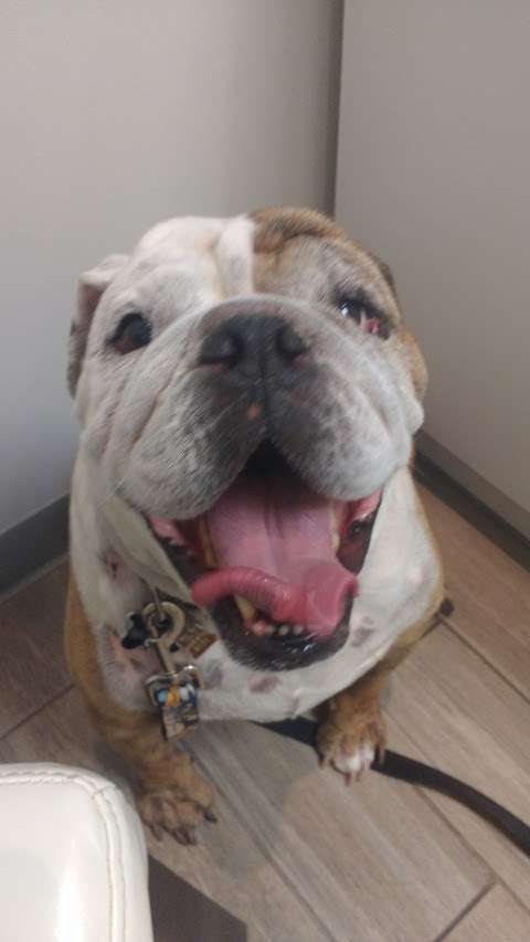 Shellard Lane Animal Hospital Shellard Lane Animal Hospital
